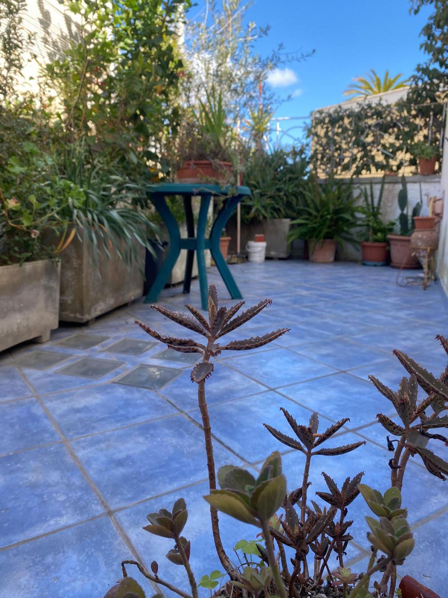 Casa vacanza maronti Barano dʼIschia Exterior foto